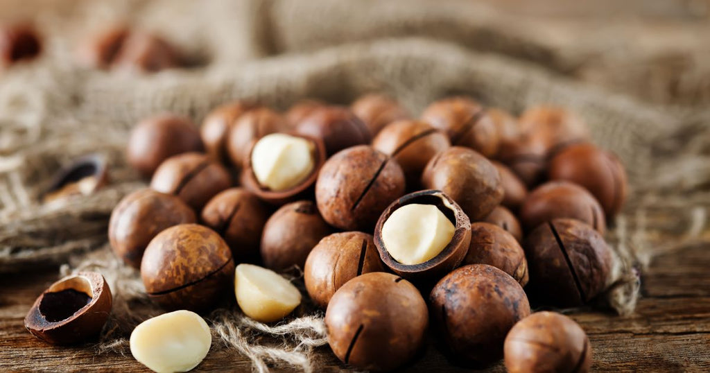 Capelli secchi e sfibrati? 3 benefici della macadamia