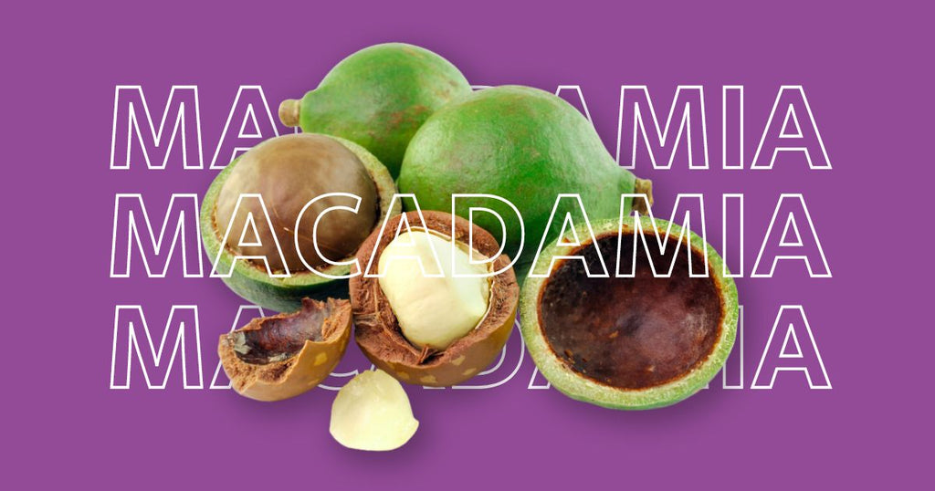 Macadamia Skincare: la soluzione per una pelle del viso idratata e rigenerata