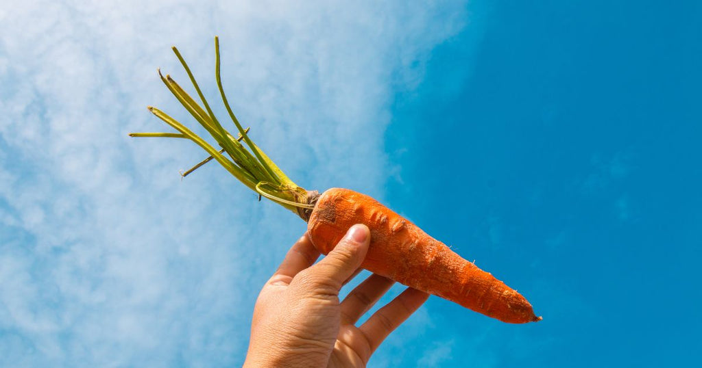 Abbronzatura perfetta: come l’olio di carota può migliorare e prolungare il tuo colorito