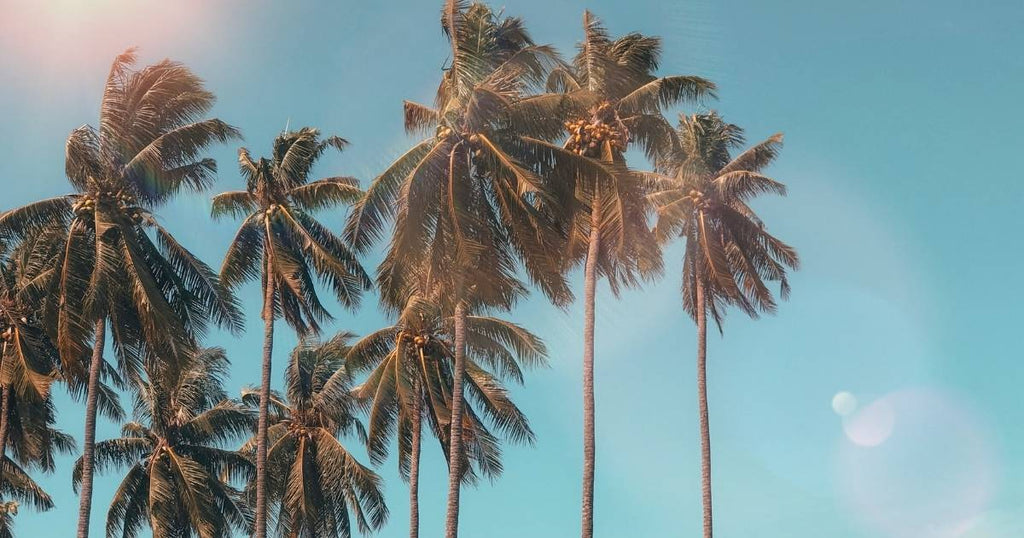 Skincare estiva: protezione, idratazione e lifting naturale con Take Me Higher